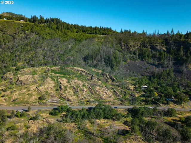 a view of a lush green forest with houses