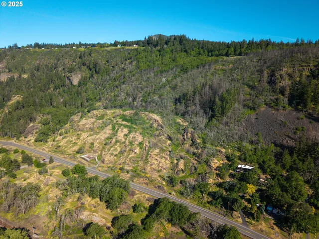 a view of a dry yard