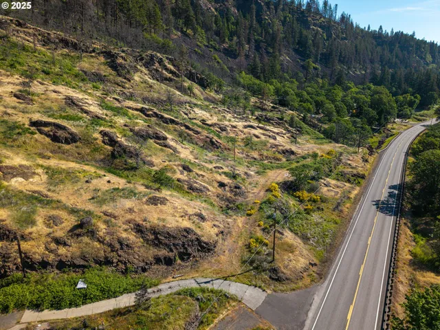 a view of a yard with plants and wooden fence