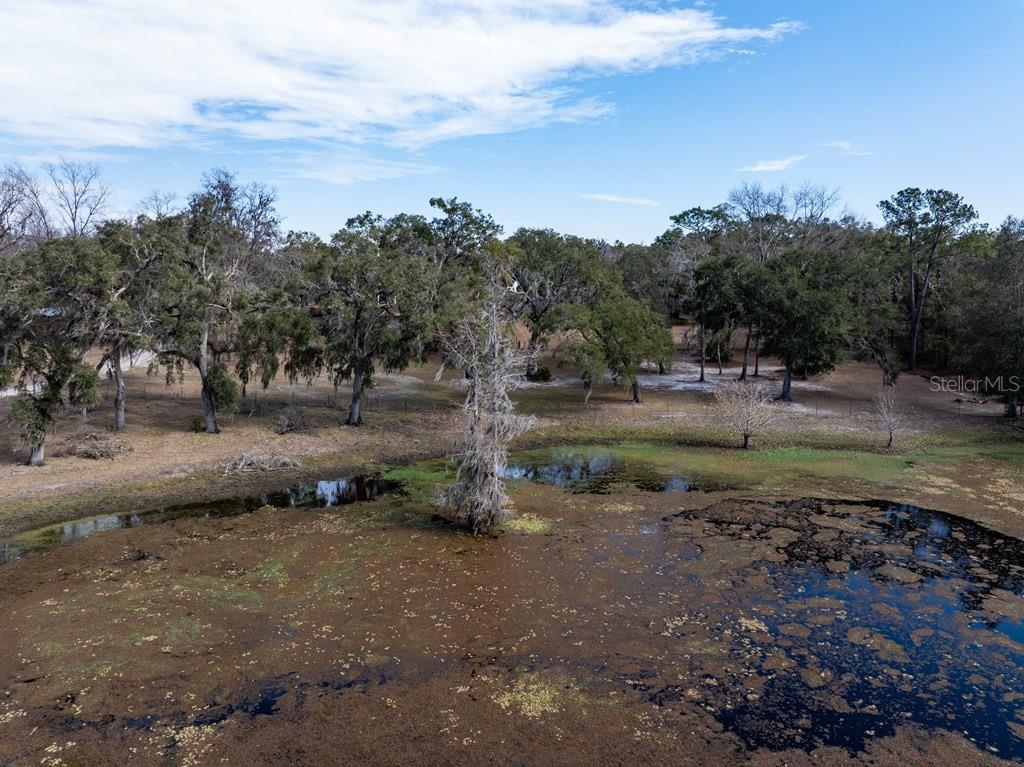 6780 Northwest 41st Circle Bell, FL 32619 - Photo 45 of 77