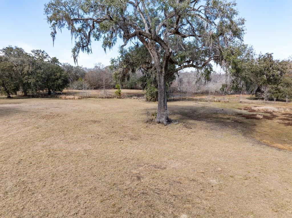 6780 Northwest 41st Circle Bell, FL 32619 - Photo 46 of 77