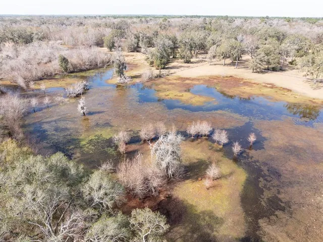 $1,200,000 | 6780 Northwest 41st Circle, Bell, FL 32619