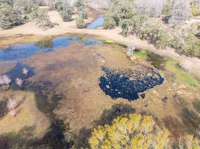 $1,200,000 | 6780 Northwest 41st Circle, Bell, FL 32619