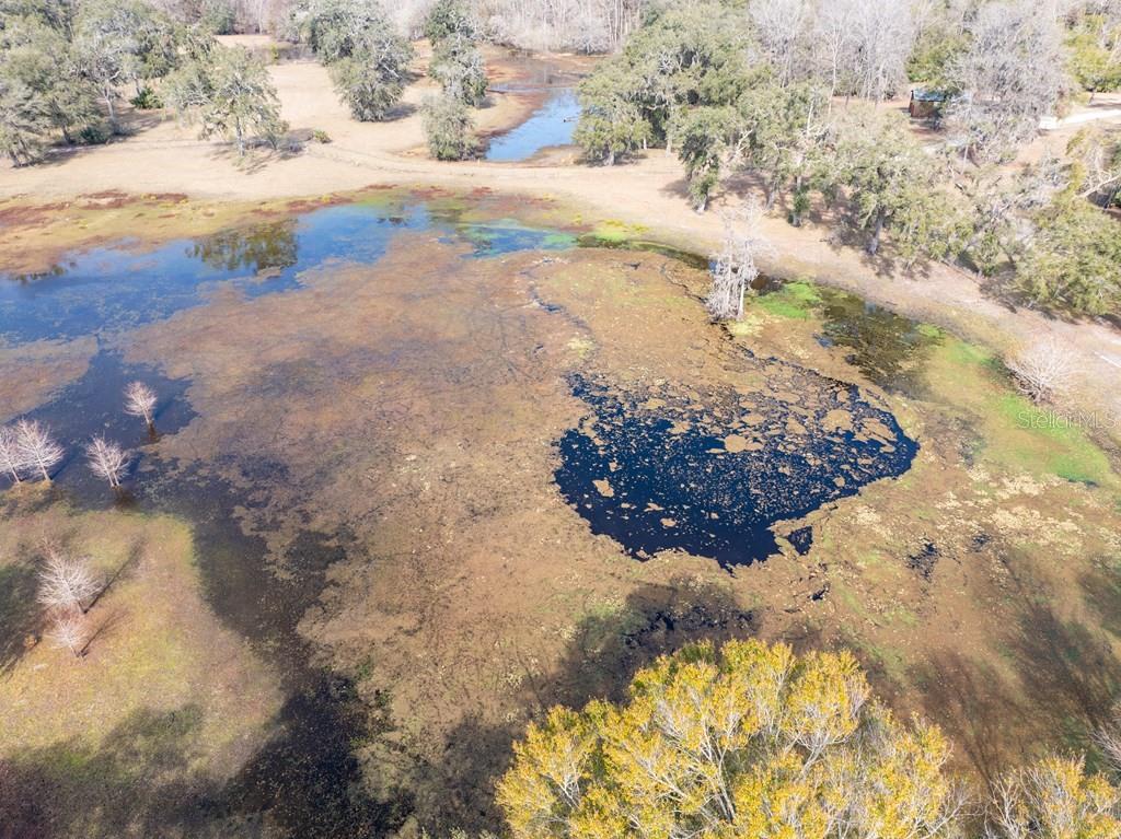 6780 Northwest 41st Circle Bell, FL 32619 - Photo 65 of 77