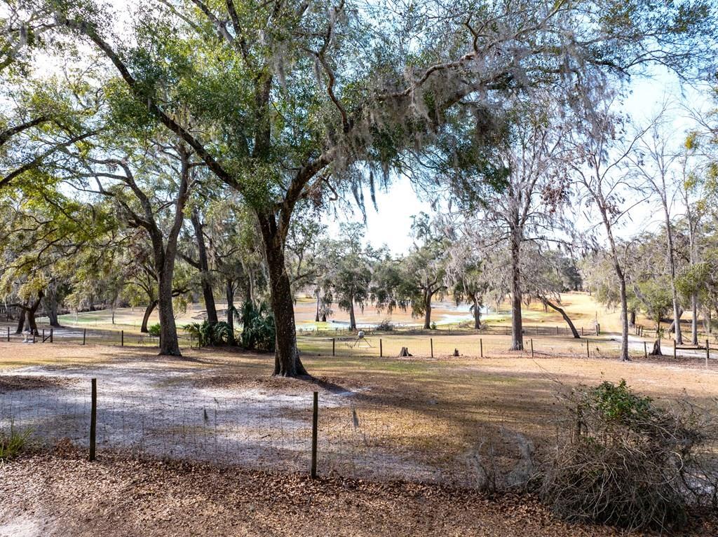 6780 Northwest 41st Circle Bell, FL 32619 - Photo 70 of 77