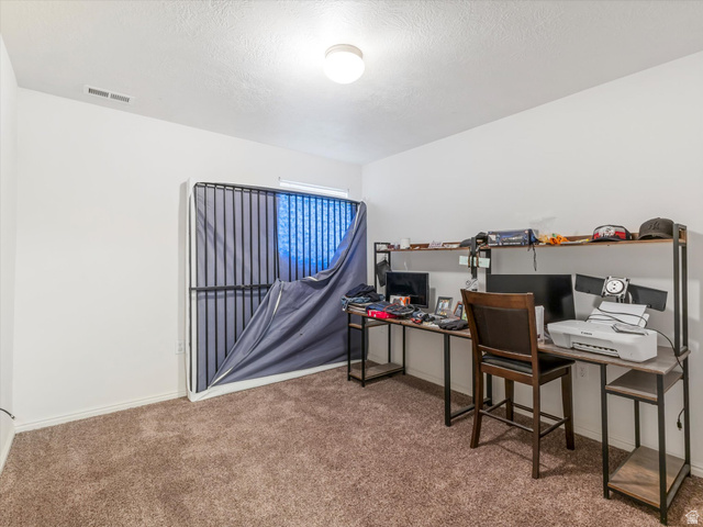 5038 West Red Shale Road Herriman, UT 84096 - Photo 10 of 16 Spacious room featuring neutral wall paint, textured carpet flooring, and an overhead flush-mount light fixture