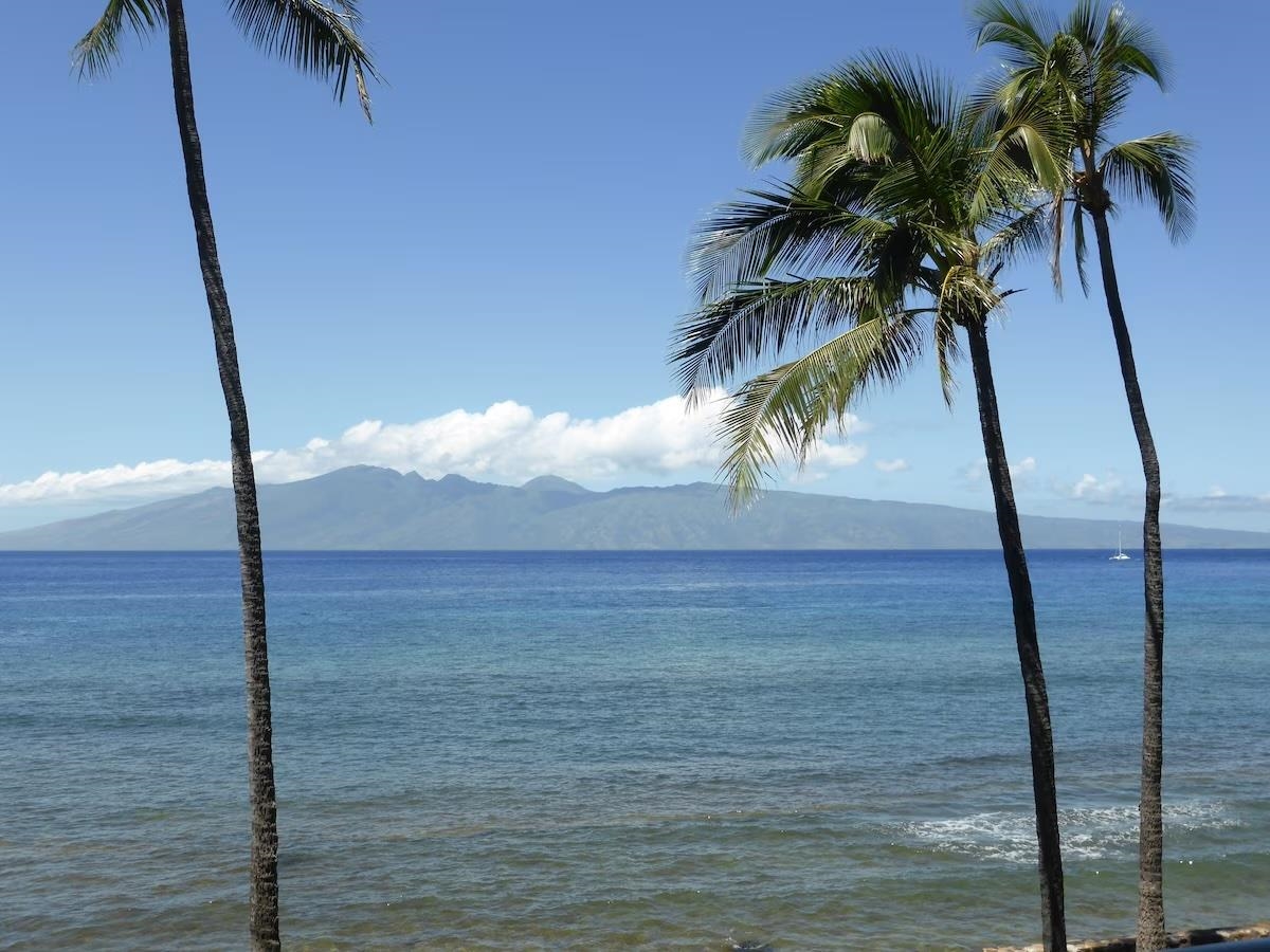 3543 Lower Honoapiilani Road, Unit L302 Lahaina, HI 96761 - Photo 37 of 45