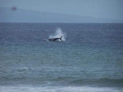 $1,200,000 | 3543 Lower Honoapiilani Road, Unit L302, Lahaina, HI 96761