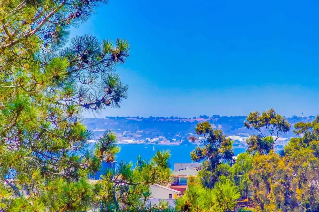 $2,200,000 | 2854 Albatross Street, San Diego, CA 92103