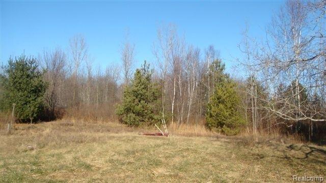 4864 Fish Road Smiths Creek, MI 48074 - Photo 4 of 14 DSC02421 (Small).JPG