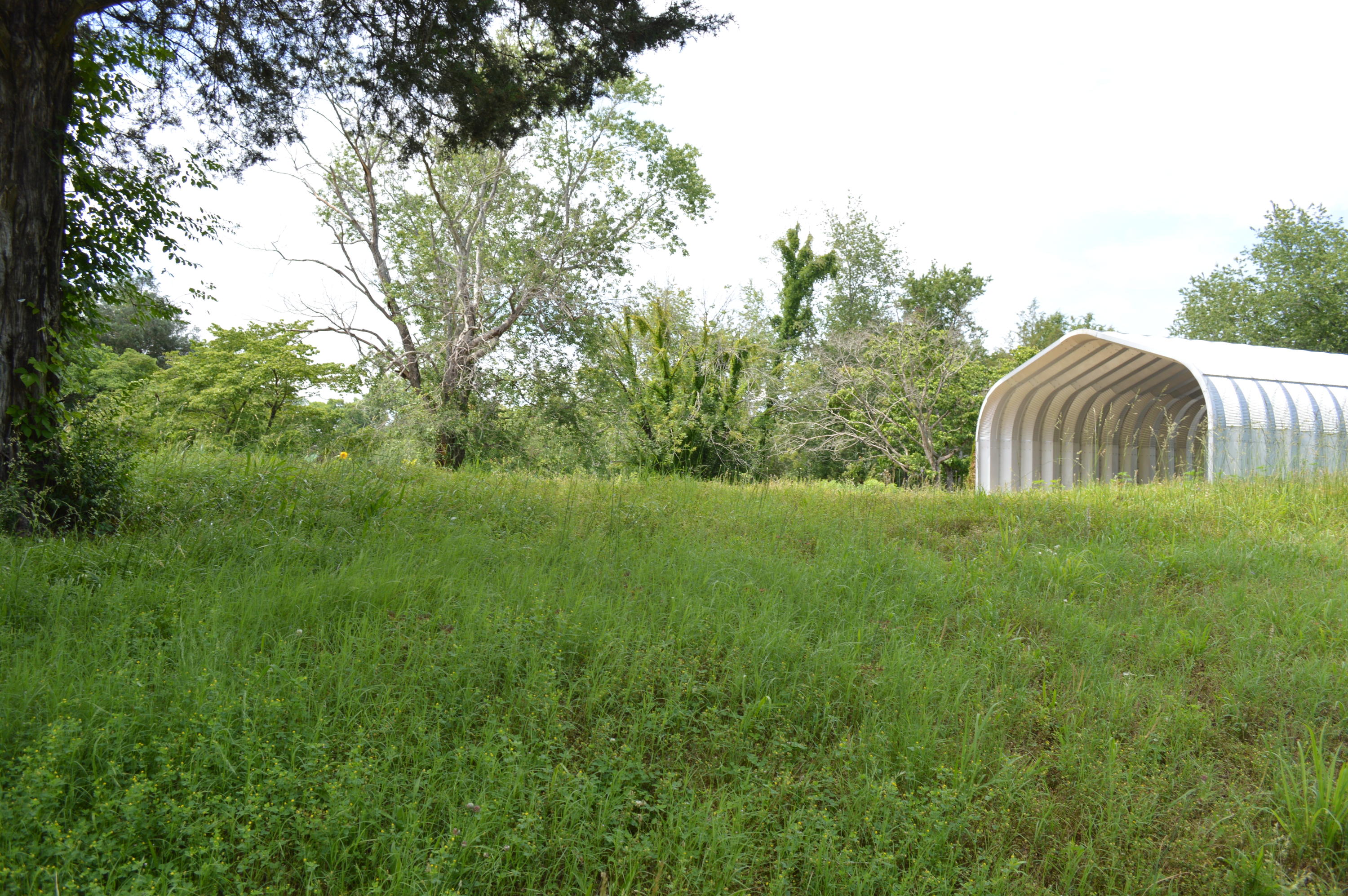 214 Browder Road Kingston, TN 37763 - Photo 1 of 13 DSC_0165
