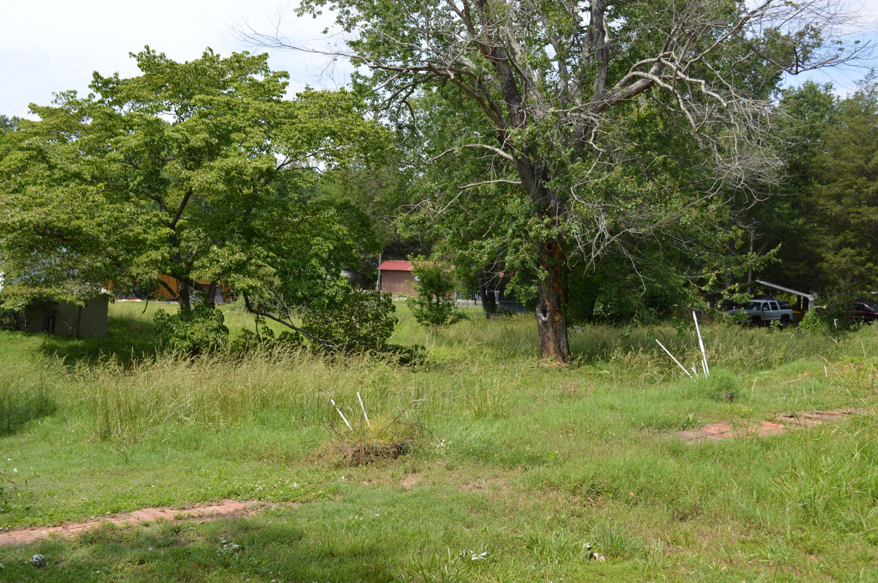 214 Browder Road Kingston, TN 37763 - Photo 7 of 13 DSC_0159