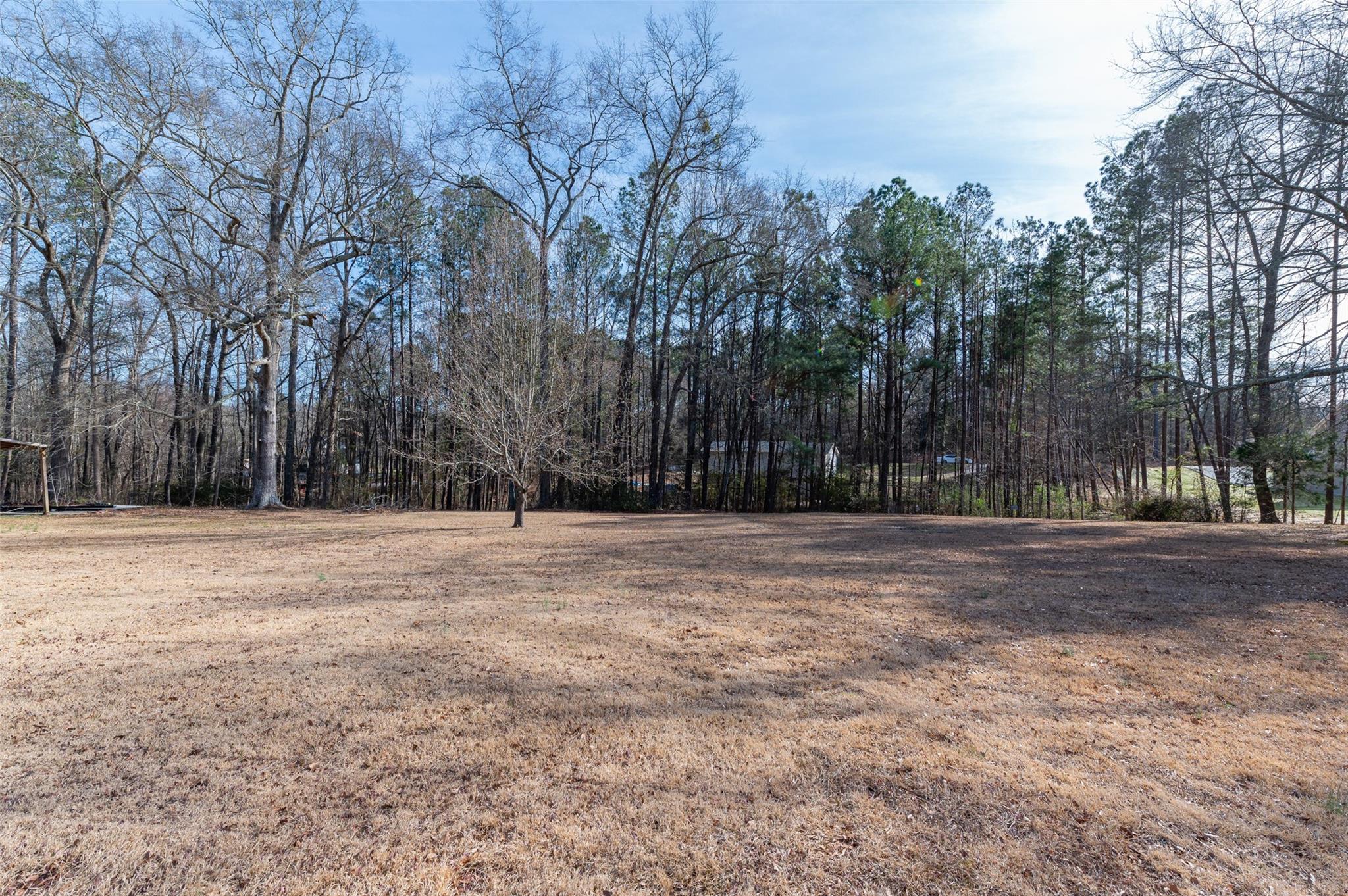 2715 Pineview Drive Lancaster, SC 29720 - Photo 29 of 40 a view of a yard with large trees