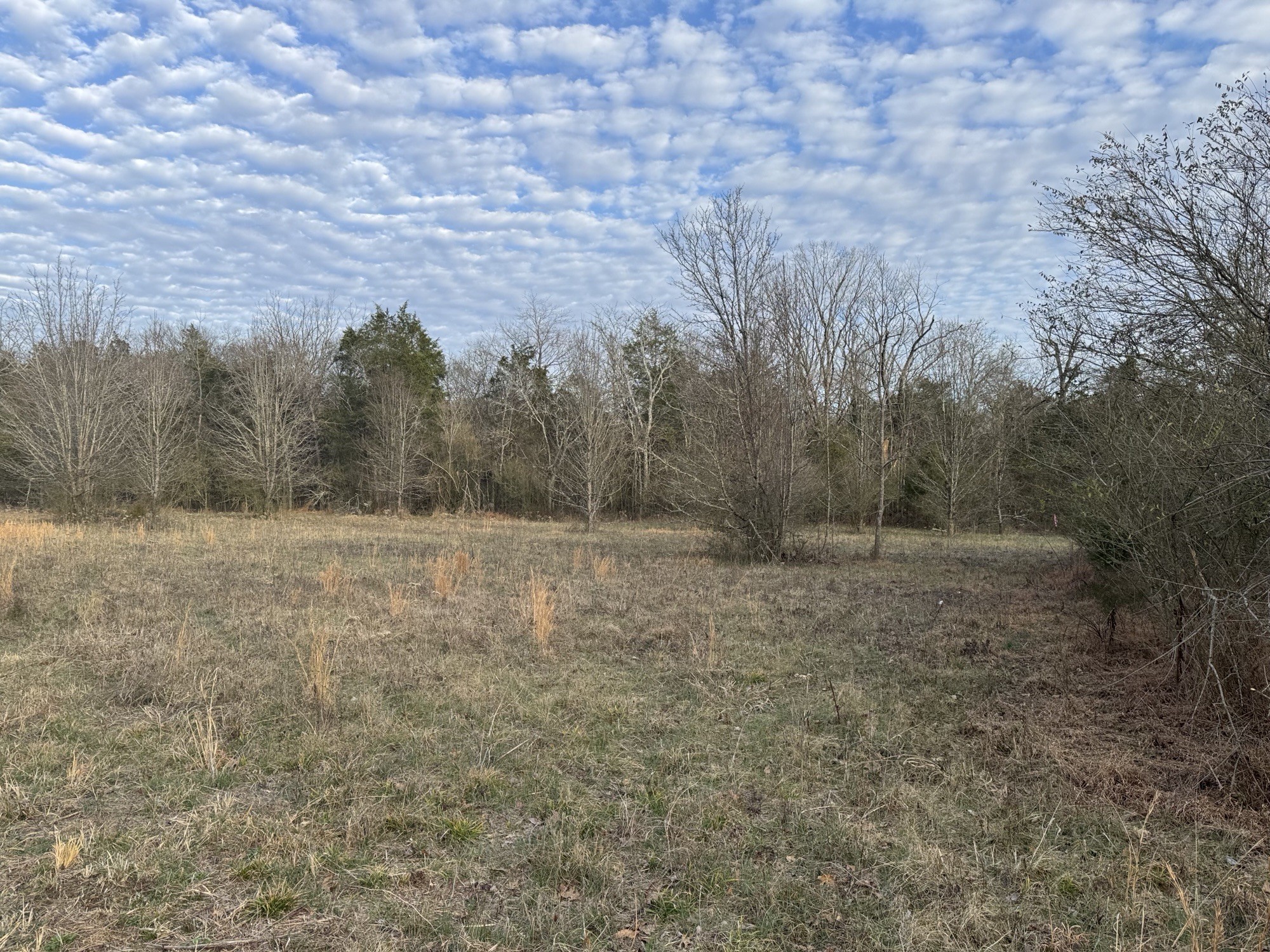 0 Tinnin Road Goodlettsville, TN 37072 - Photo 3 of 20 Gallery Image 3