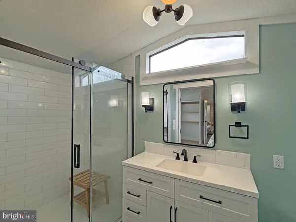 a bathroom with a sink a mirror a vanity and shower