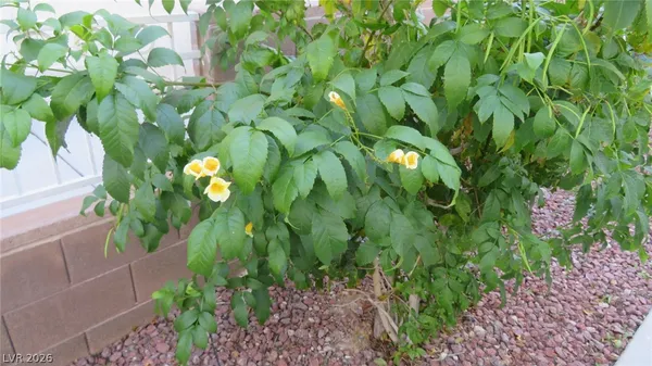 $1,750 | 3014 Sunrise Bay Avenue, North Las Vegas, NV 89031