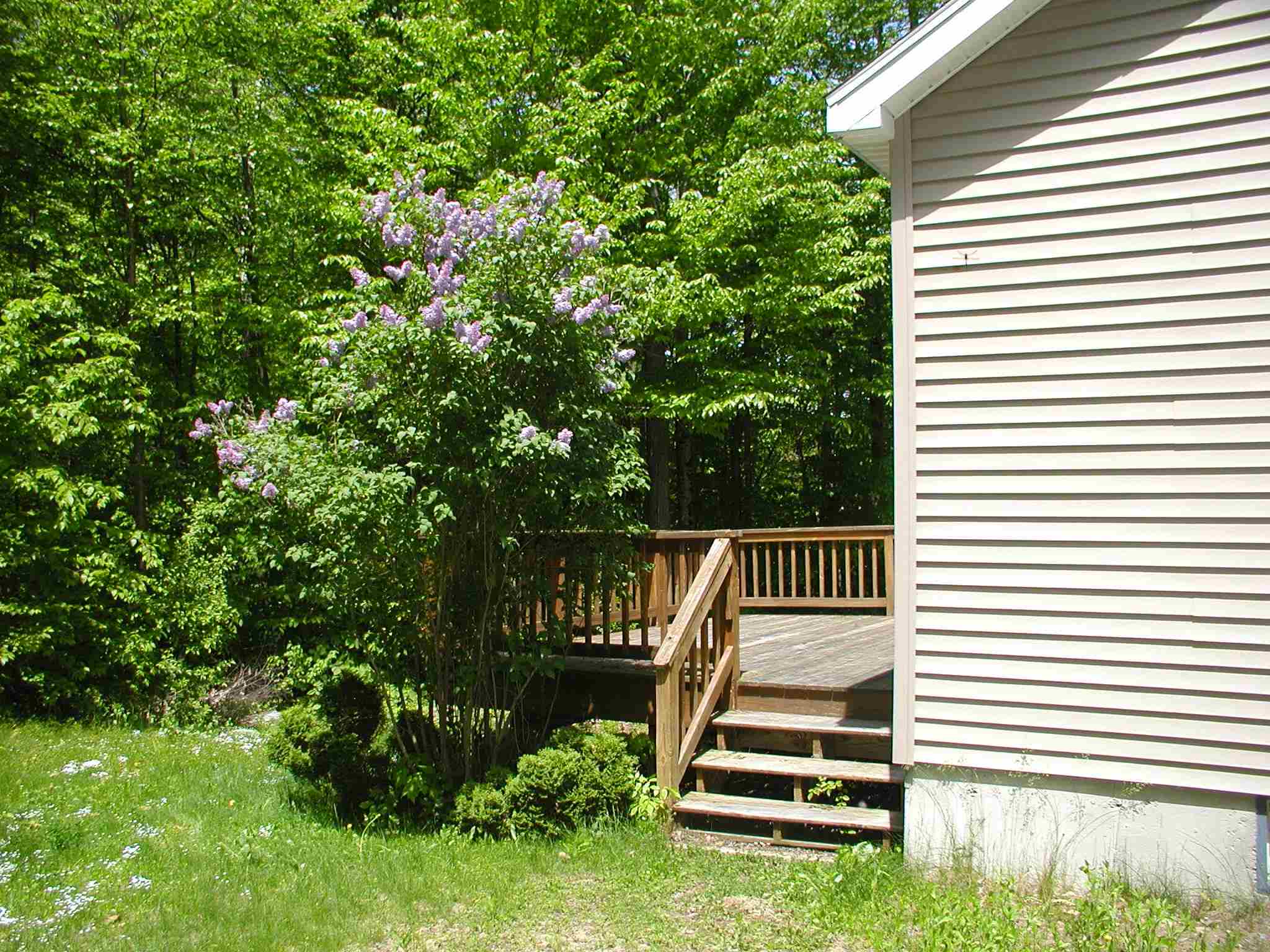 319 Fox Hill Road Stoddard, NH 03464 - Photo 16 of 33 Gallery Image 16