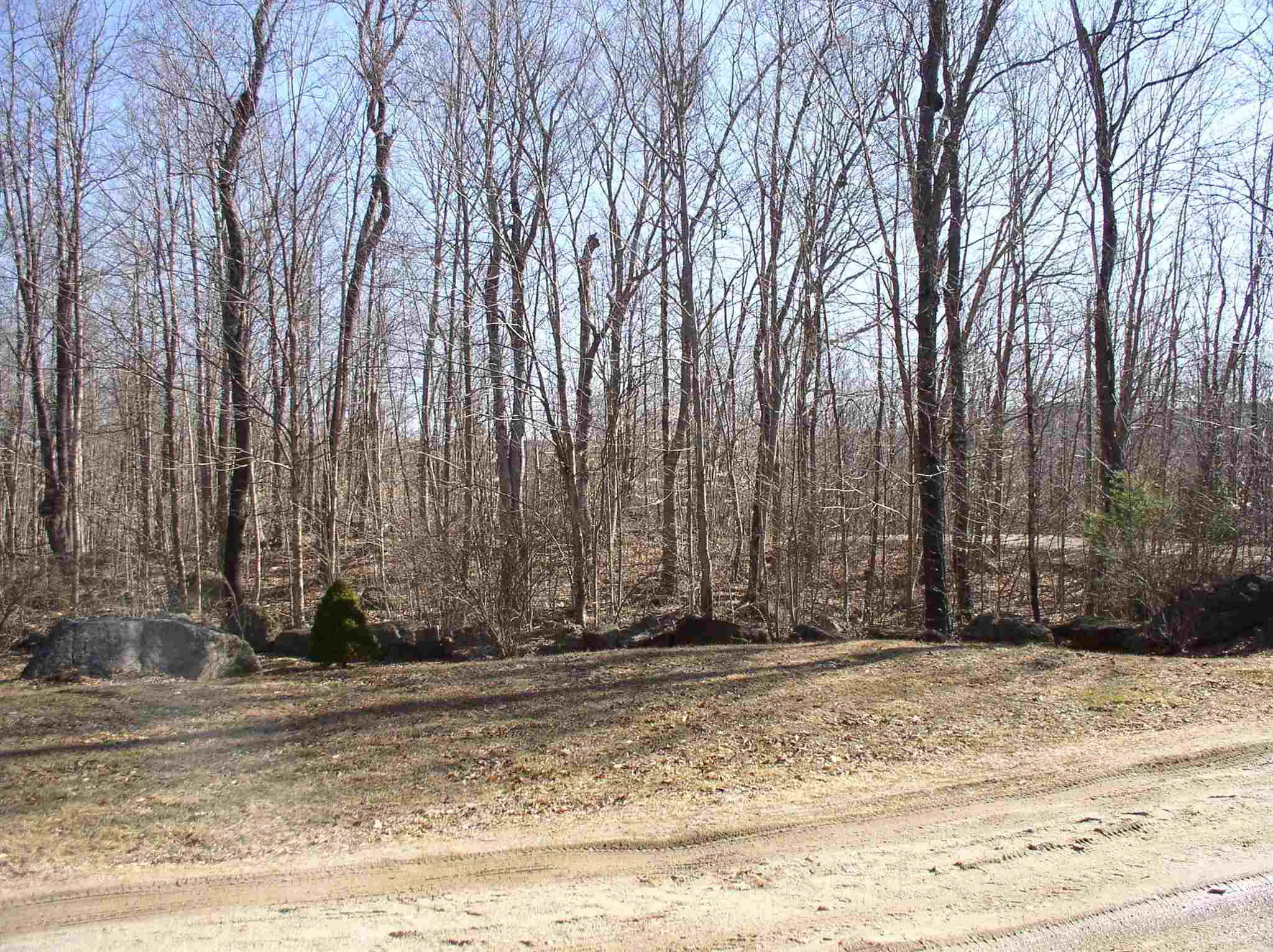 319 Fox Hill Road Stoddard, NH 03464 - Photo 20 of 33 Gallery Image 20