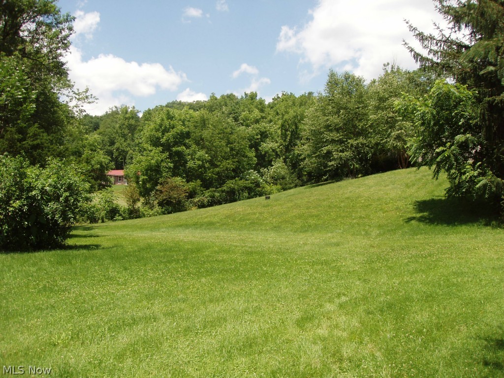 6340 Duncan Run Road Philo, OH 43771 - Photo 11 of 23