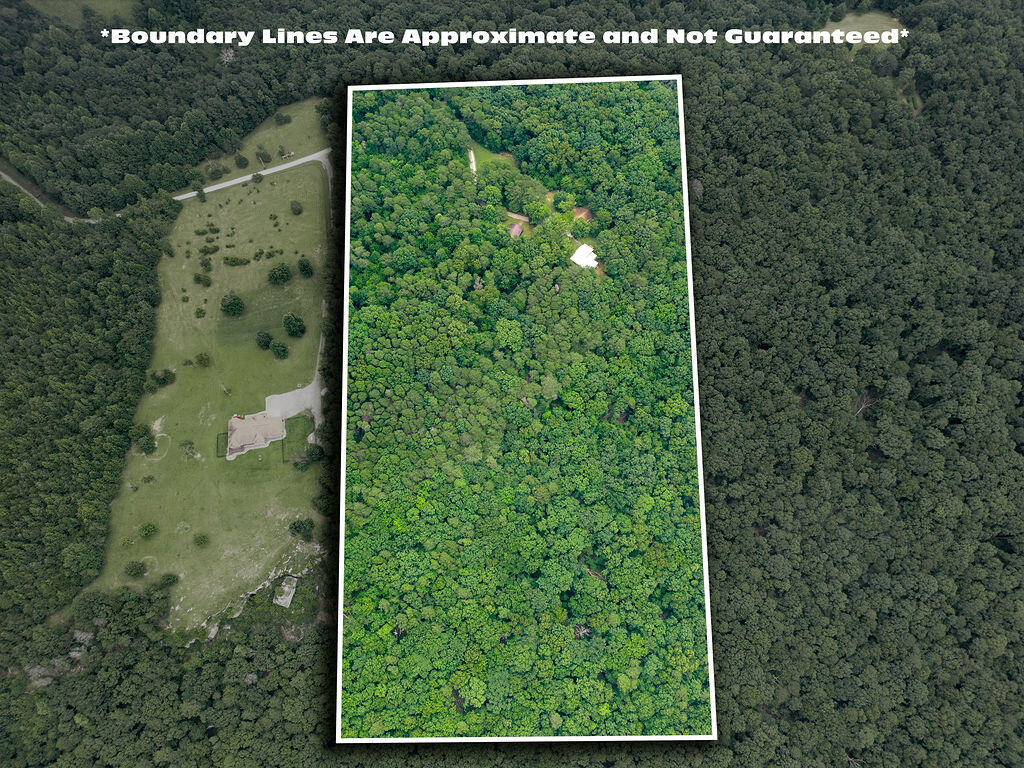 627 County Road 331 Bryant, AL 35958 - Photo 3 of 38 DJI_0194-Edit-2