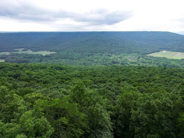 $510,000 | 627 County Road 331, Bryant, AL 35958