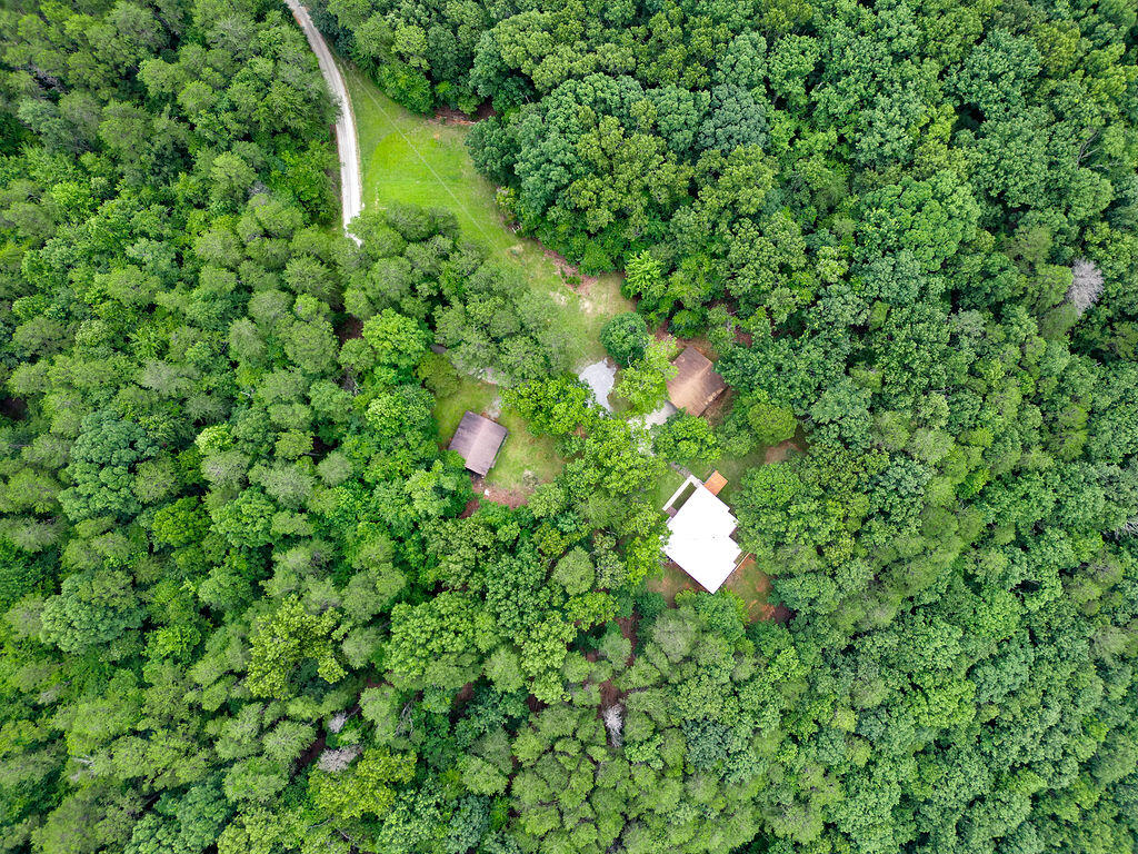 627 County Road 331 Bryant, AL 35958 - Photo 38 of 38 DJI_0198