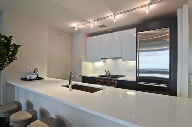 1201 South Prairie Avenue, Unit 804 Chicago, IL 60605 - Photo 6 of 13 a kitchen with sink and window