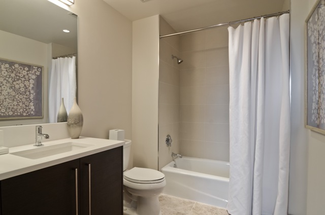 1201 South Prairie Avenue, Unit 804 Chicago, IL 60605 - Photo 7 of 13 a bathroom with a sink a toilet and shower