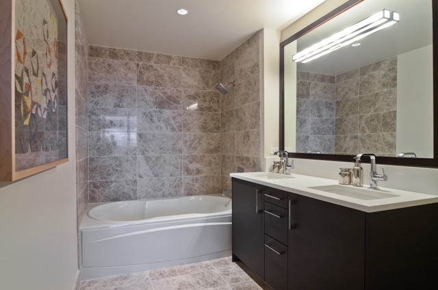 1201 South Prairie Avenue, Unit 804 Chicago, IL 60605 - Photo 8 of 13 a bathroom with a tub sink double vanity and mirror