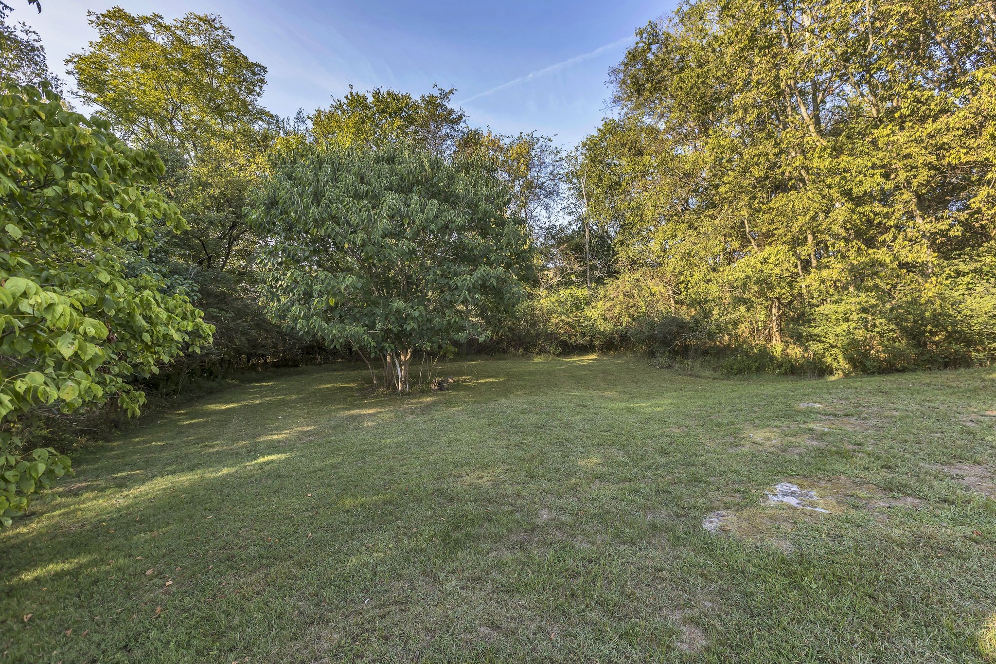 3798 McCandless Road Columbia, TN 38401 - Photo 28 of 28 a view of outdoor space and yard