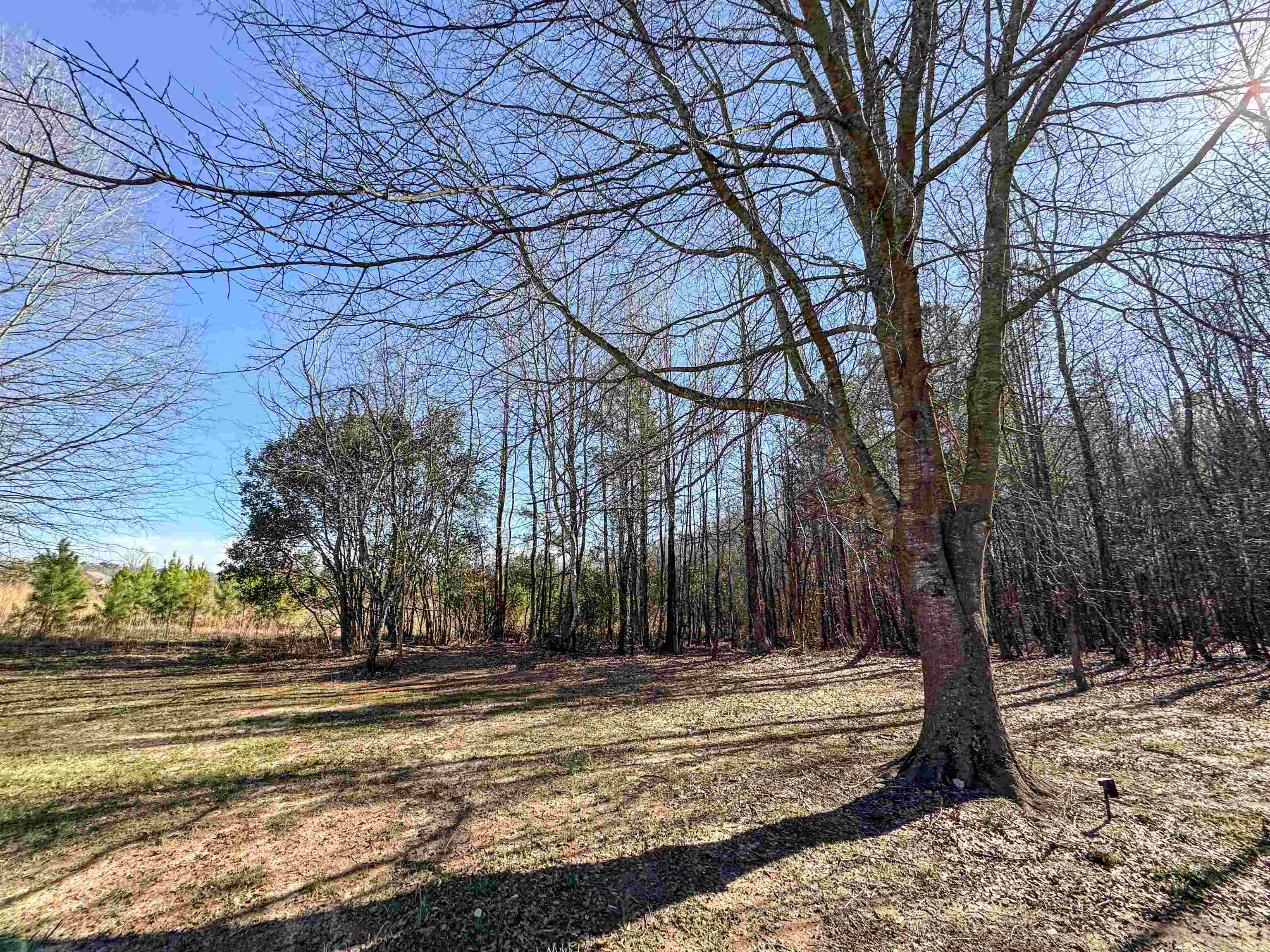 665 Settle Road Inman, SC 29349 - Photo 24 of 24