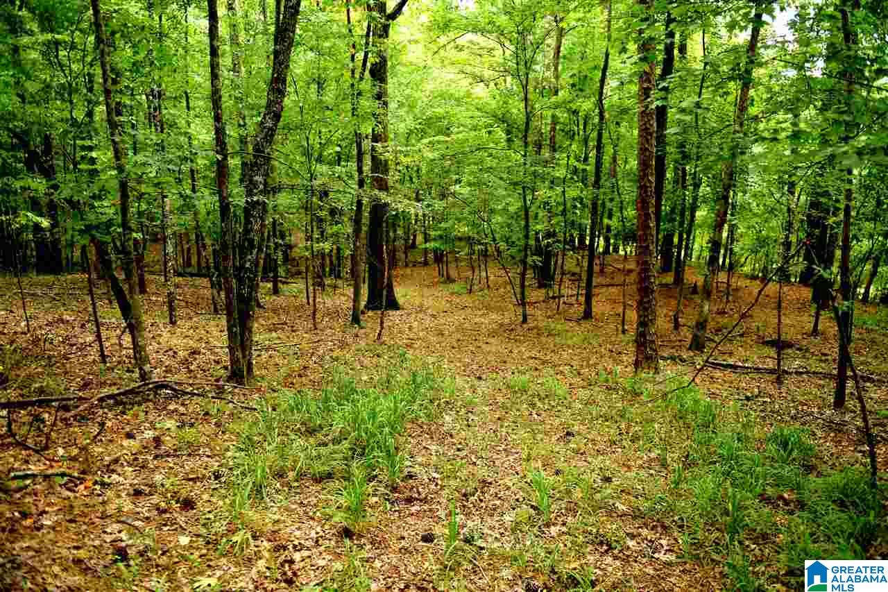 1242 Oak Mountain Trail Pelham, AL 35124 - Photo 36 of 41