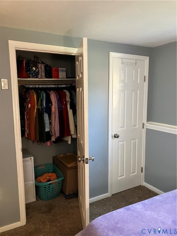 7608 Portadown Court, Unit 2602 Henrico, VA 23228 - Photo 30 of 37 a view of walk in closet