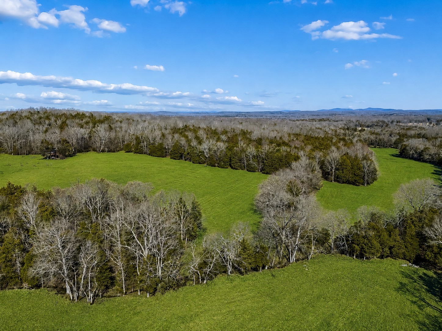 935 Comer Road Lascassas, TN 37085 - Photo 2 of 77 a view of a green field with an ocean
