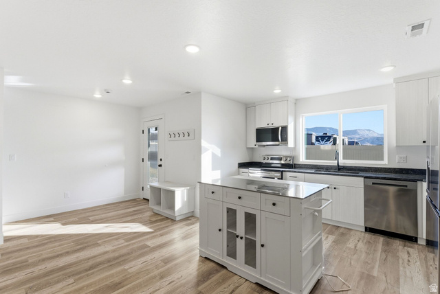 645 West 880th Street South Fillmore, UT 84631 - Photo 3 of 22 Open-concept kitchen and living area featuring wood-finish flooring, white cabinetry, dark countertops, and stainless steel appliances