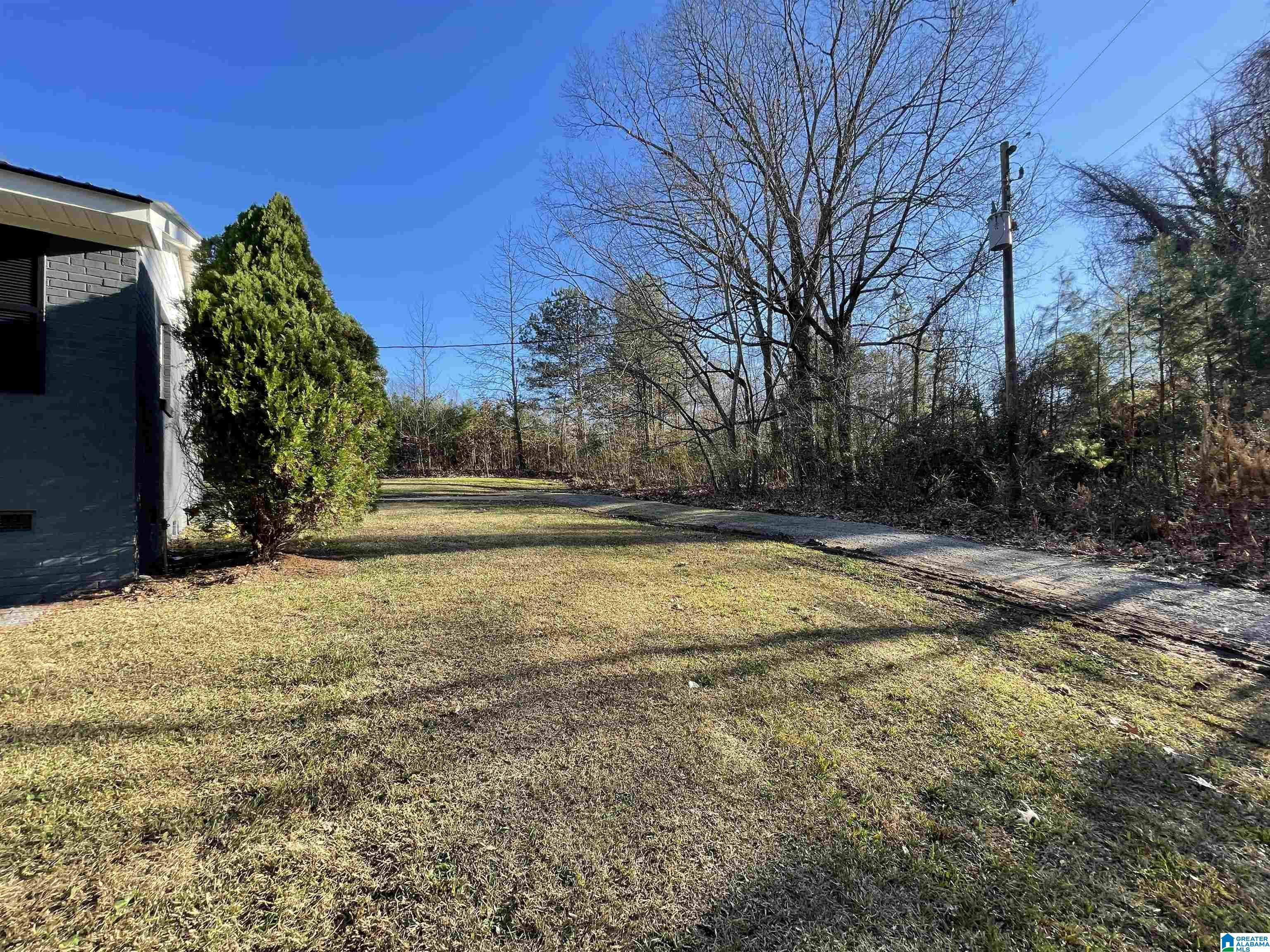 7850 Joy Road Blountsville, AL 35031 - Photo 7 of 19