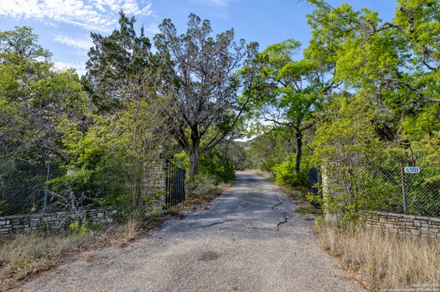 a view of a yard with a tree
