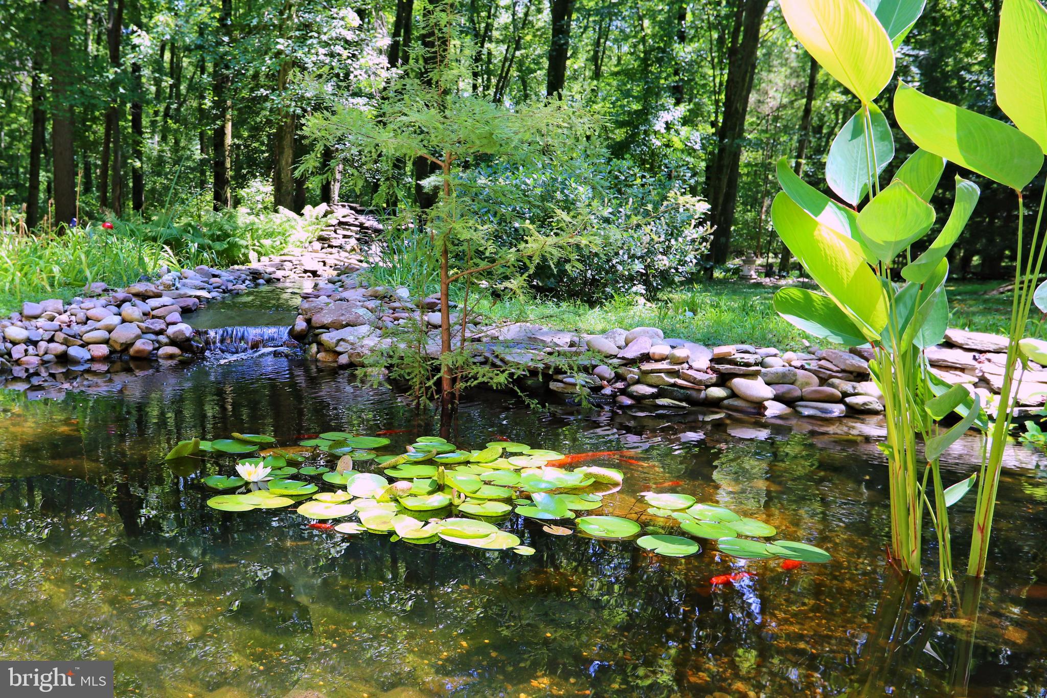 915 Monroeville Road Mullica Hill, NJ 08062 - Photo 2 of 35 Gorgeous Koi Pond