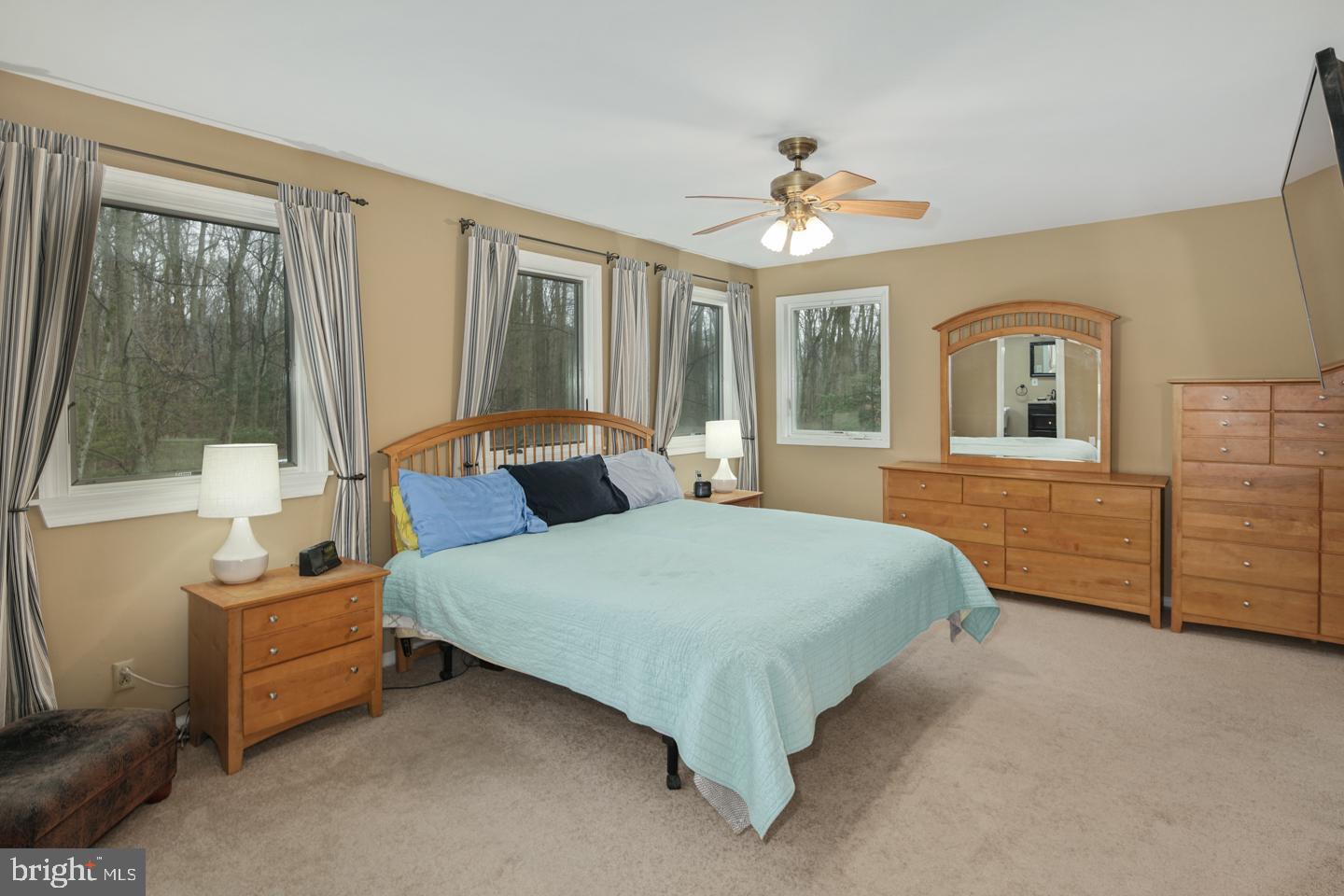 915 Monroeville Road Mullica Hill, NJ 08062 - Photo 26 of 35 Master Bedroom