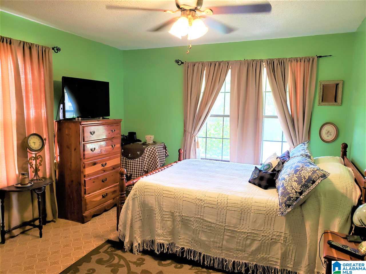 2381 Chinch Creek Road Piedmont, AL 36272 - Photo 17 of 25