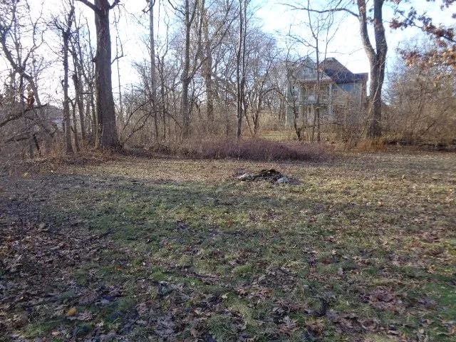 a view of outdoor space with large trees