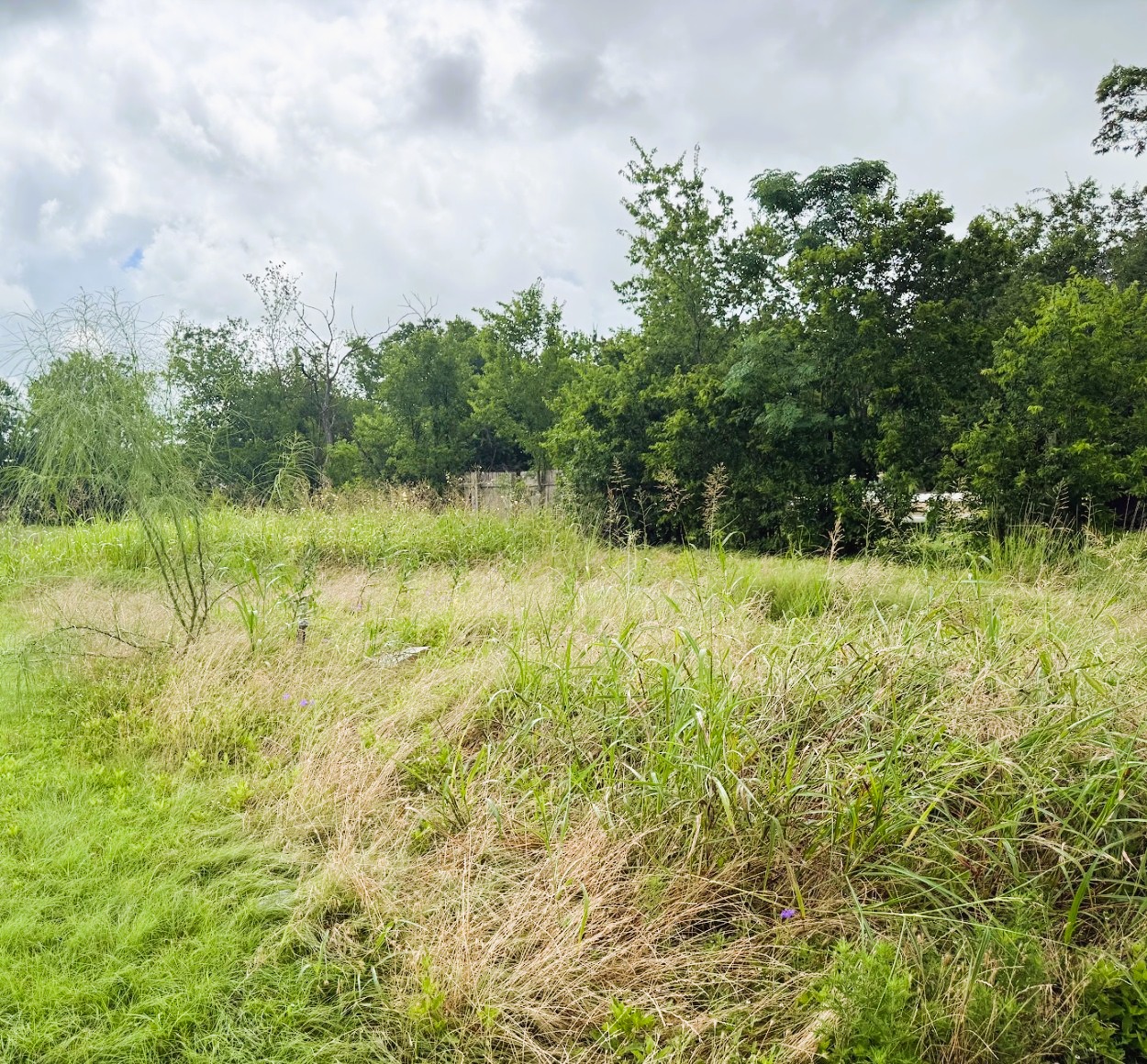 503 Maple Street Taylor, TX 76574 - Photo 1 of 20 Great lot in a prime location for your build or mobile home.