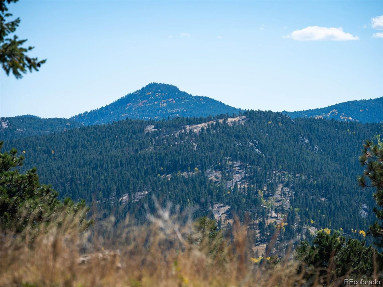 6371 Canyon Creek Road Evergreen, CO 80439 - Photo 14 of 50 a view of a lush green hillside and a building