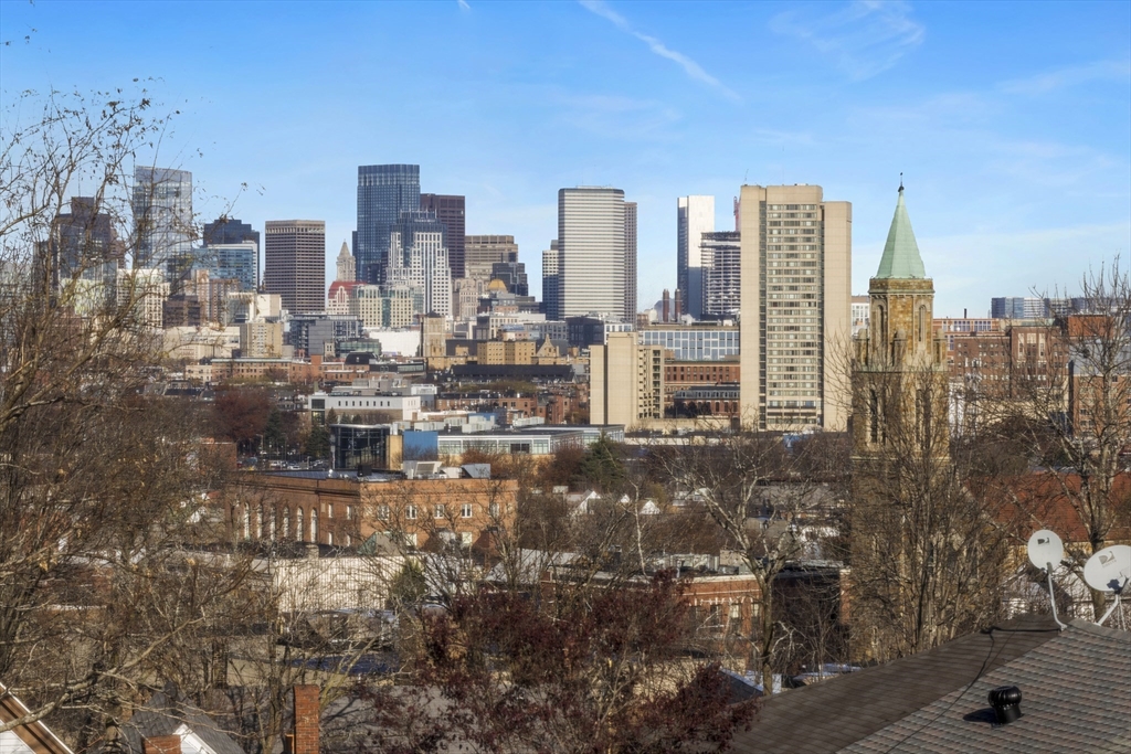 17 Akron Street, Unit 2 Boston, MA 02119 - Photo 21 of 29