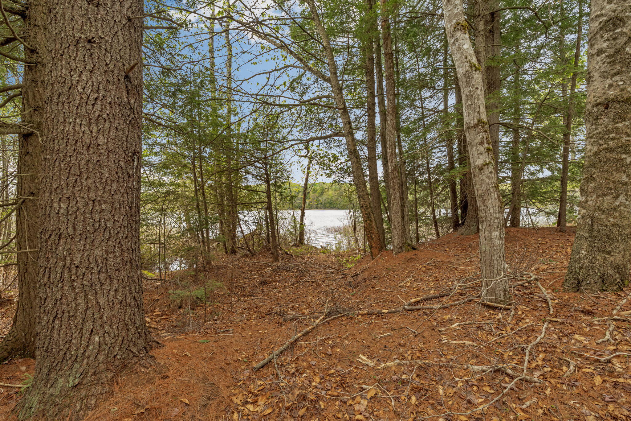 14 Beaver Ridge Road Palermo, ME 04354 - Photo 10 of 26 4-web-or-mls-14-beaver-ridge-rd