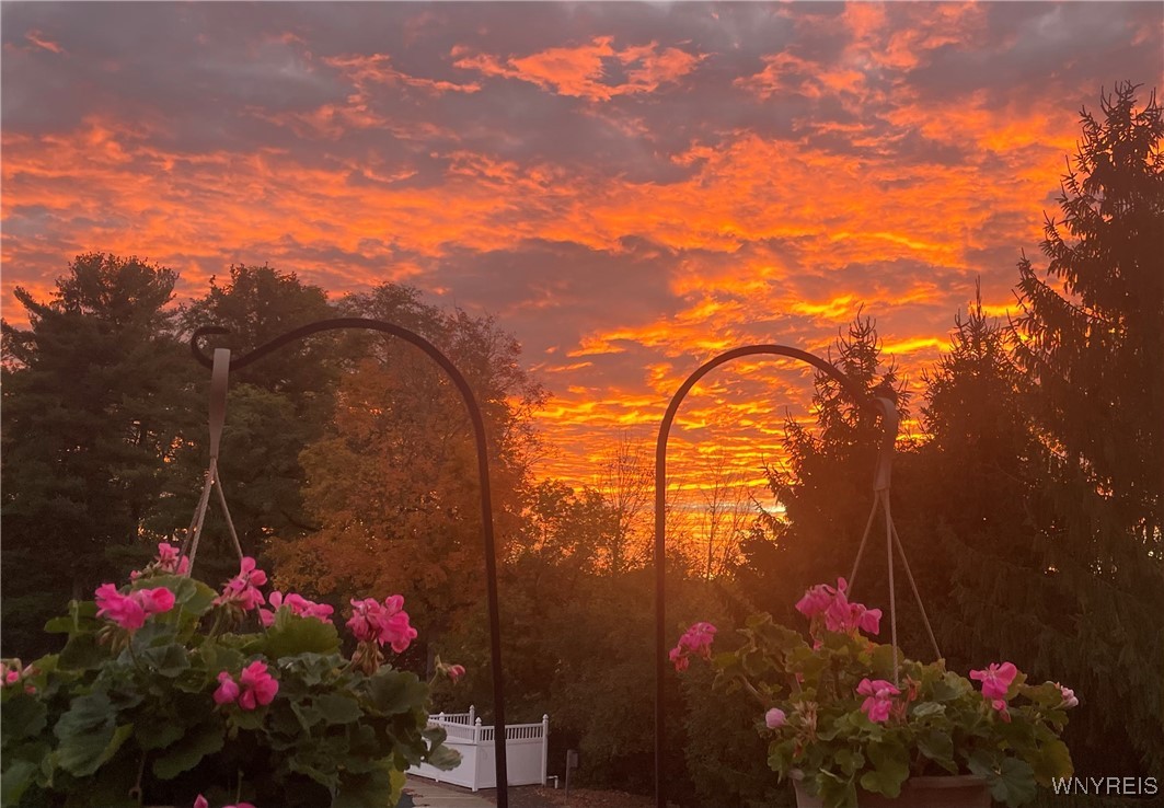 270 Buffalo Road, Unit 86 East Aurora, NY 14052 - Photo 29 of 30 Beautiful View from condo