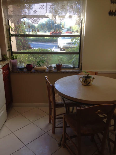 8425 Casa Del Lago, Unit C Boca Raton, FL 33433 - Photo 14 of 27 4