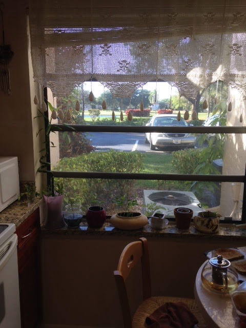 8425 Casa Del Lago, Unit C Boca Raton, FL 33433 - Photo 10 of 27 3 (1)