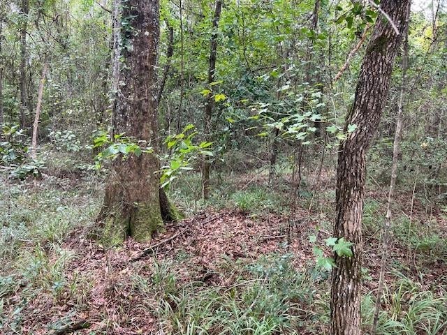 27-ac Babbie Road Andalusia, AL 36421 - Photo 17 of 35 Gallery Image 17