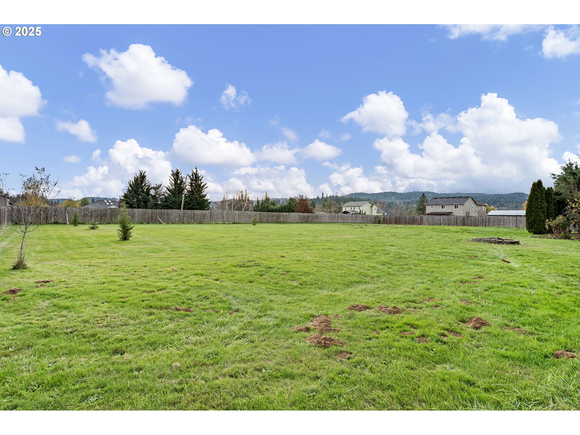 32968 Camas Swale Road Creswell, OR 97426 - Photo 33 of 44 a view of a big yard with a large tree and a yard